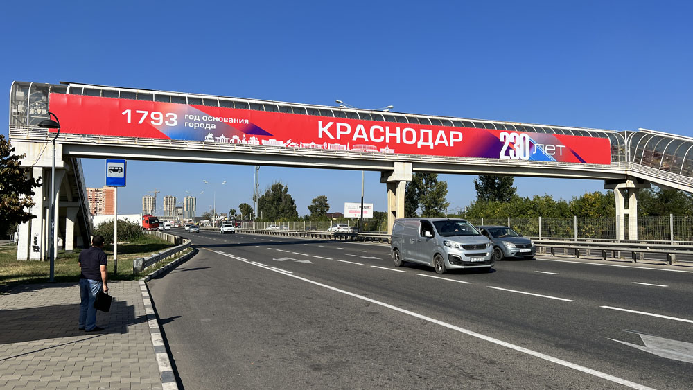 Портфолио
